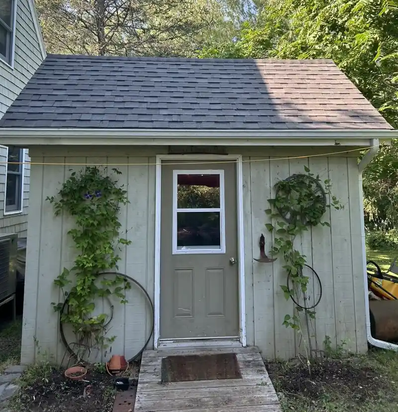 A shingled garden shed with a panelled door and vines trained up either side.