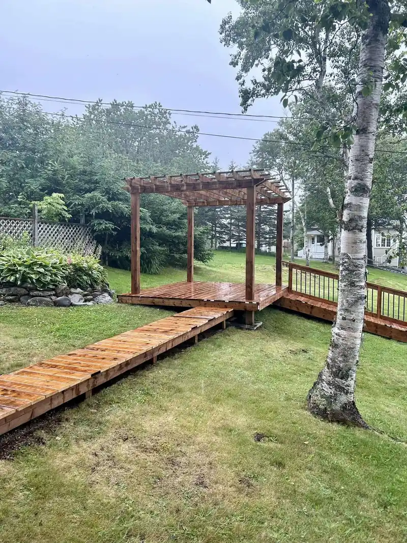 A timber pergola over a walkway crossing a lawn between birches.